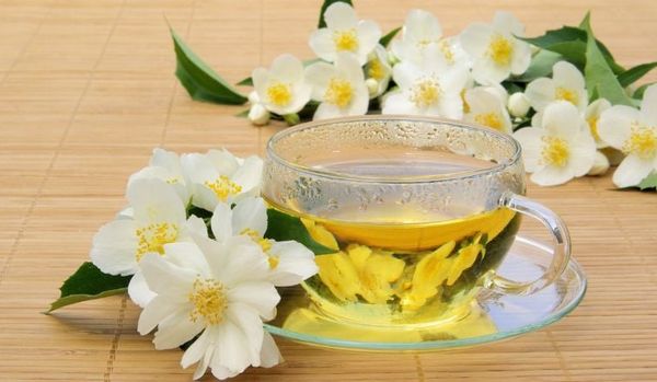 Trà Nhài – Tinh Hoa Từ Hè Sang Đông