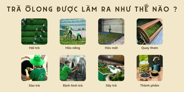 Hình ảnh bài viết