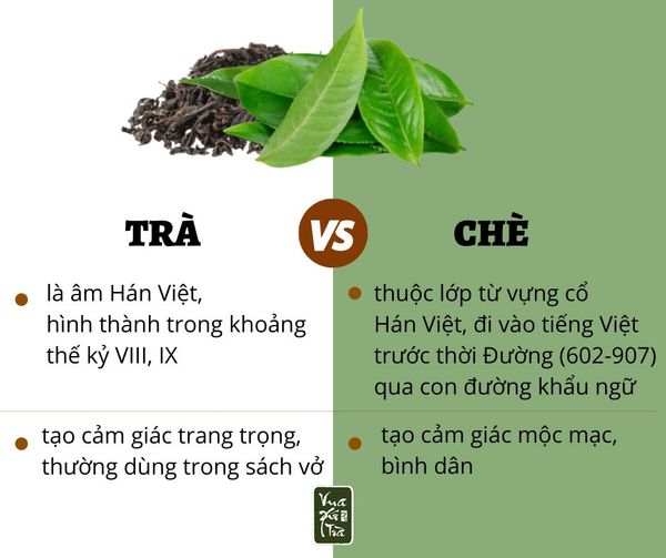 Hình ảnh bài viết