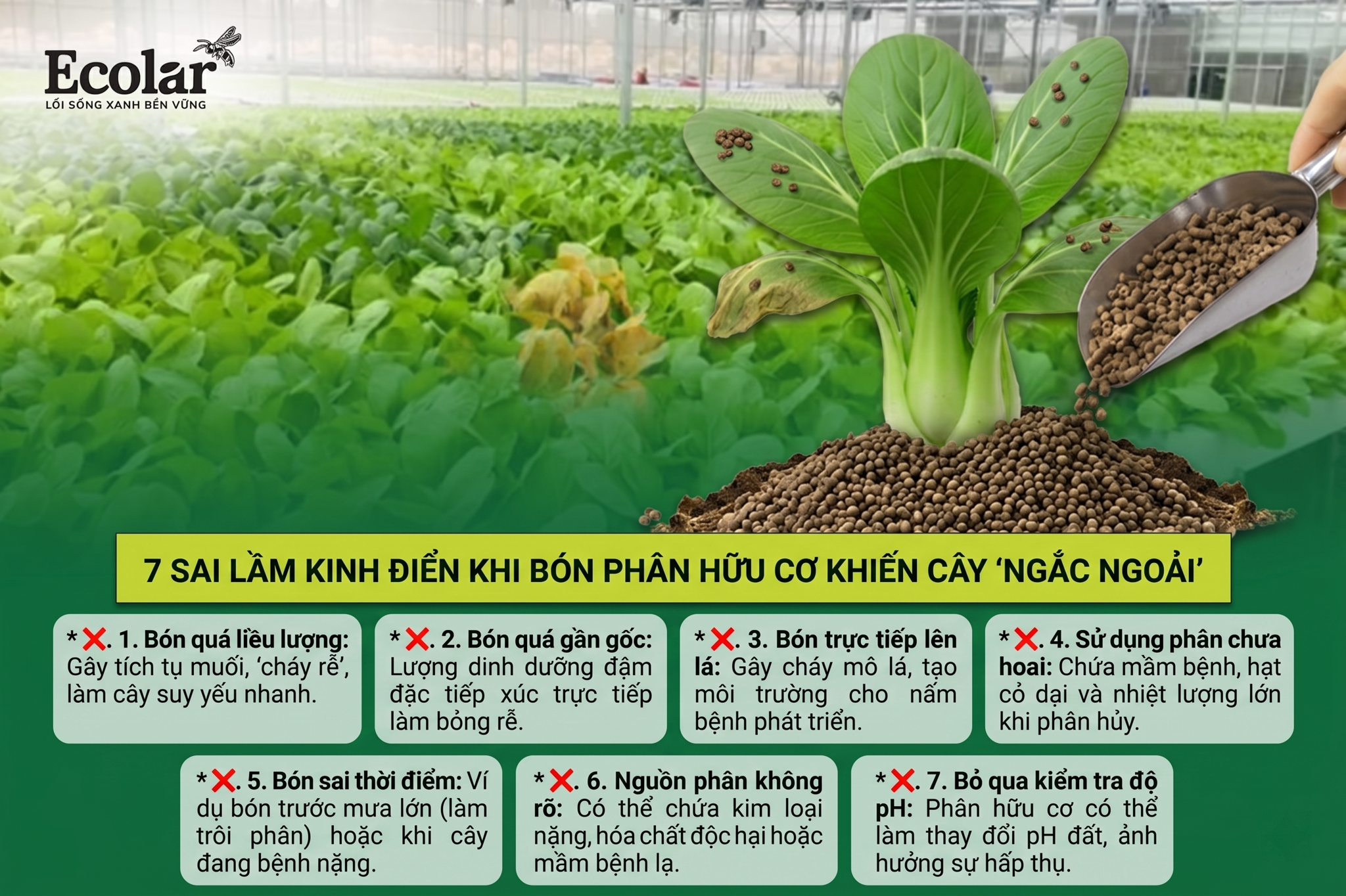 Vạch Trần 7 Sai Lầm Kinh Điển Khi Bón Phân Hữu Cơ Khiến Cây 'Ngắc Ngoải'