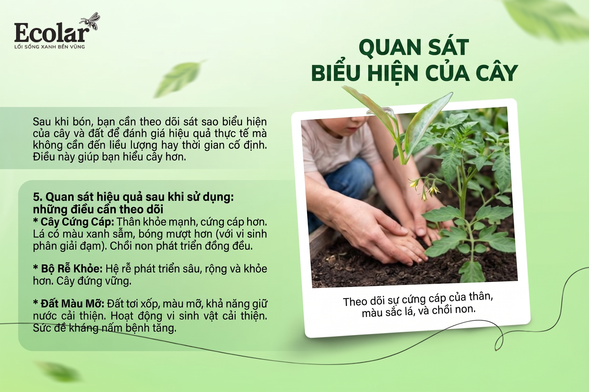Quan sát hiệu quả sau khi sử dụng: những điều cần theo dõi (không đề cập liều lượng hay thời gian cố định)