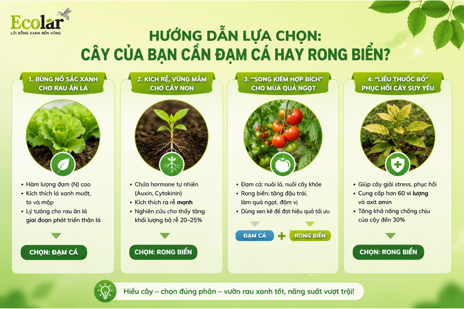 Hướng Dẫn Lựa Chọn: Cây Của Bạn Cần Đạm Cá Hay Rong Biển?