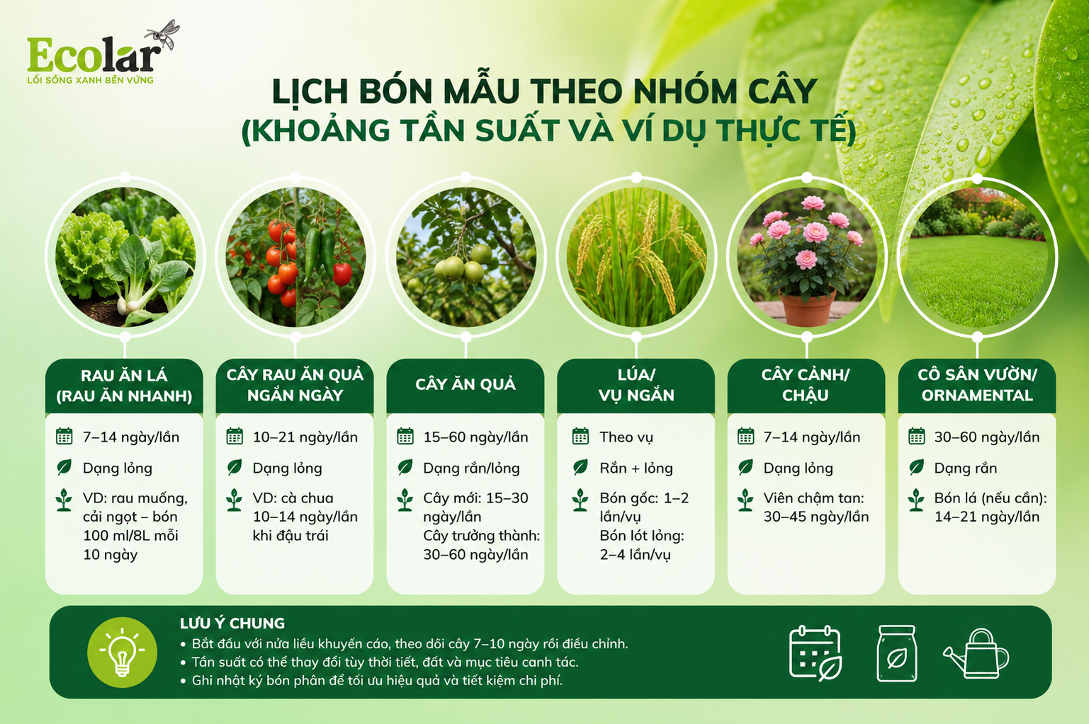 Lịch bón mẫu theo nhóm cây (khoảng tần suất và ví dụ thực tế)