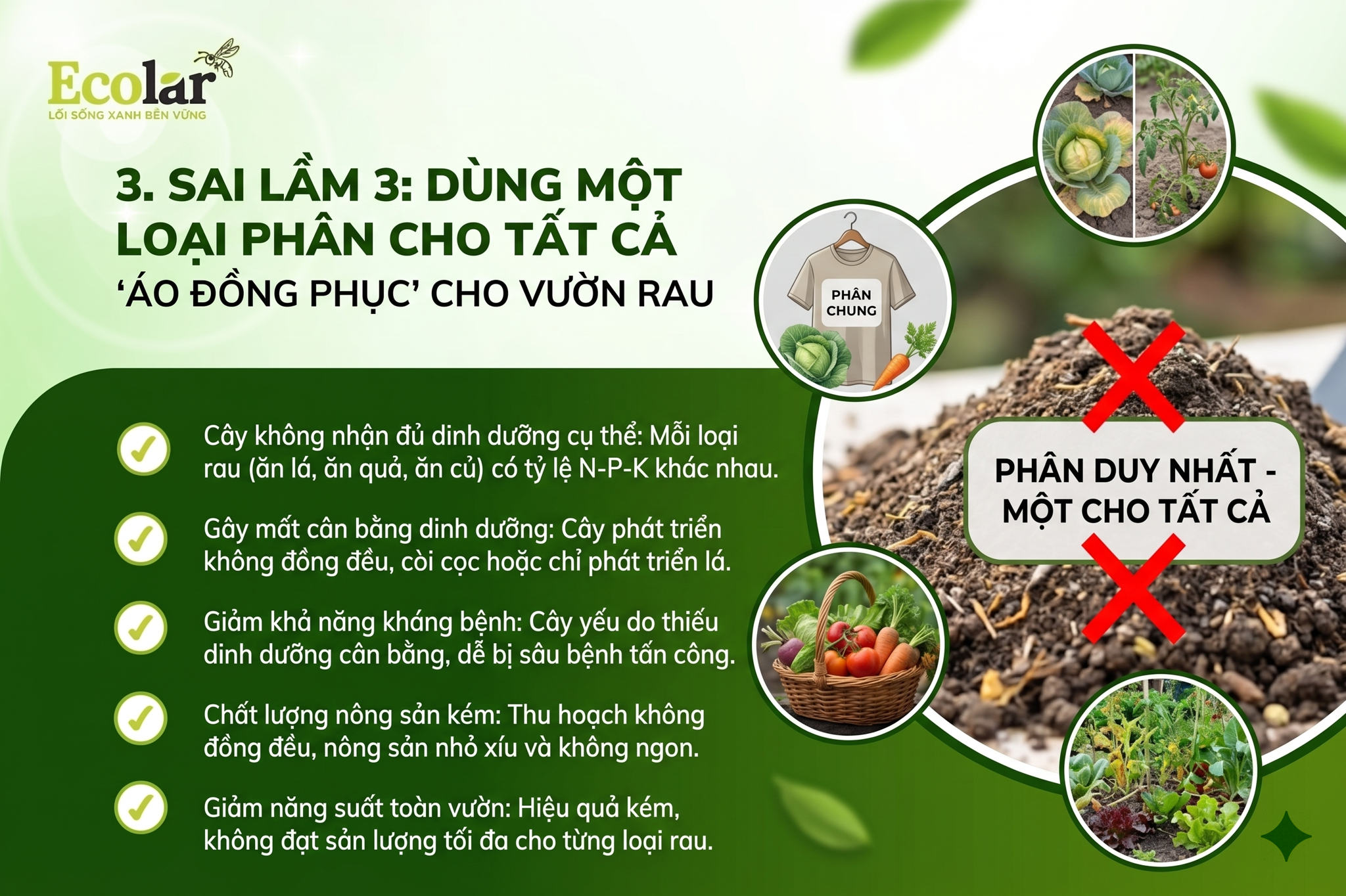 Sai Lầm 3: Dùng Một Loại Phân Cho Tất Cả - 'Áo Đồng Phục' Cho Vườn Rau