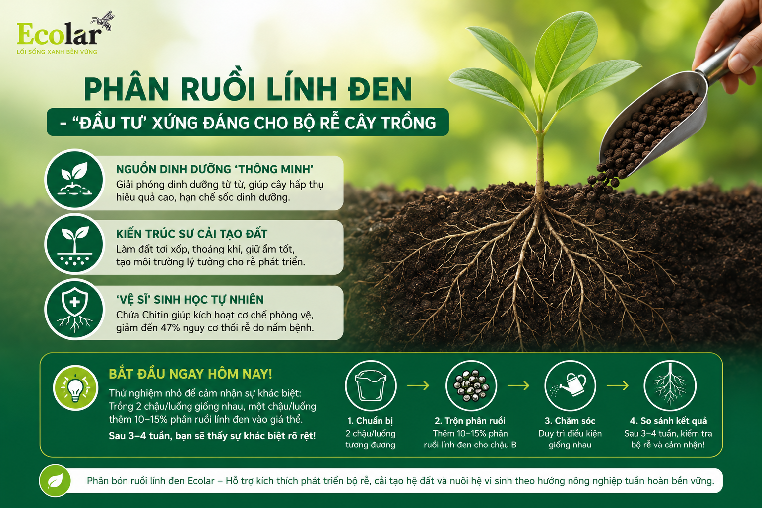 Tổng Kết: Phân Ruồi Lính Đen - 'Đầu Tư' Xứng Đáng Cho Bộ Rễ Cây Trồng