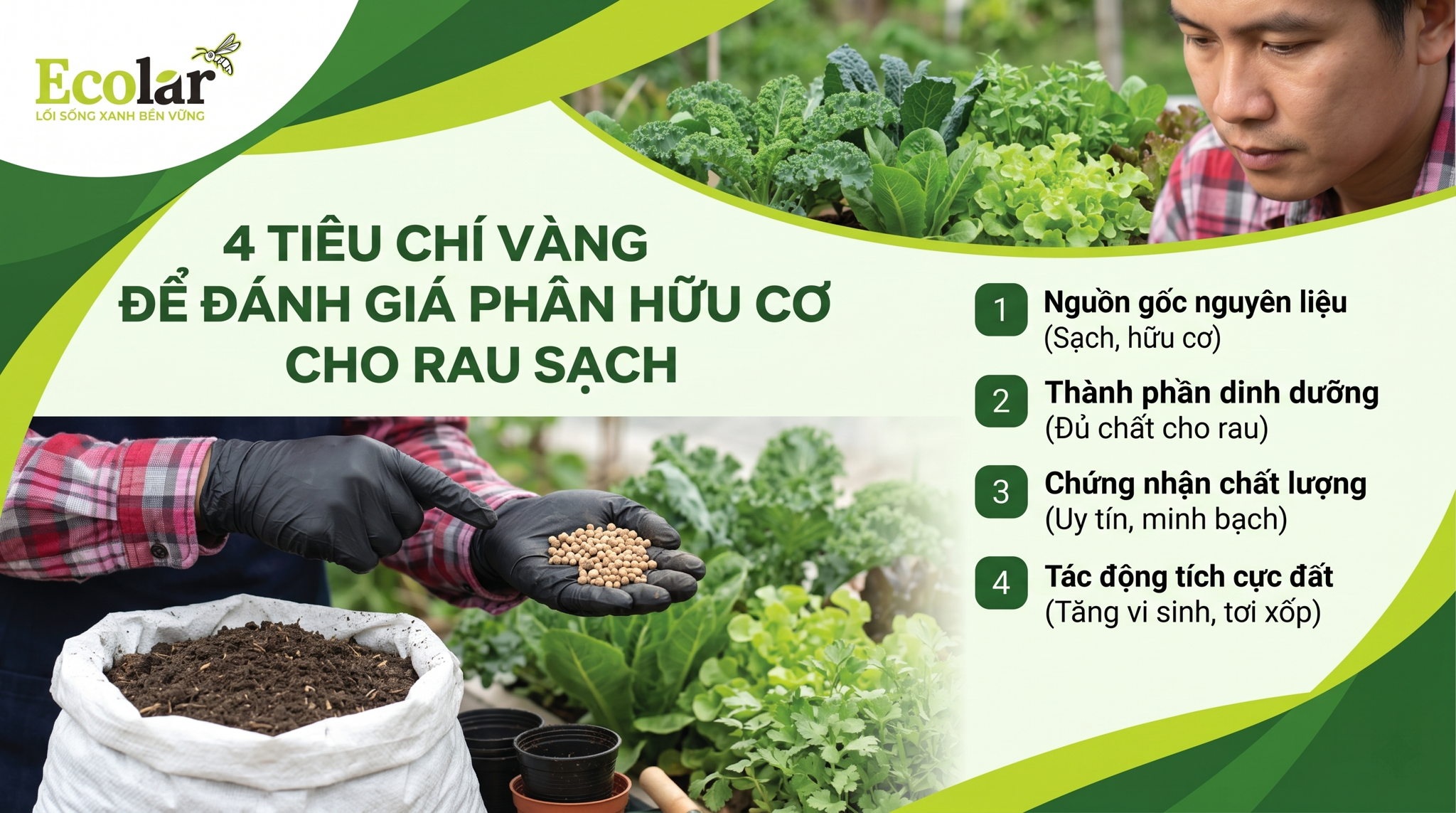 4 Tiêu Chí Vàng Để Đánh Giá Phân Hữu Cơ Cho Rau Sạch