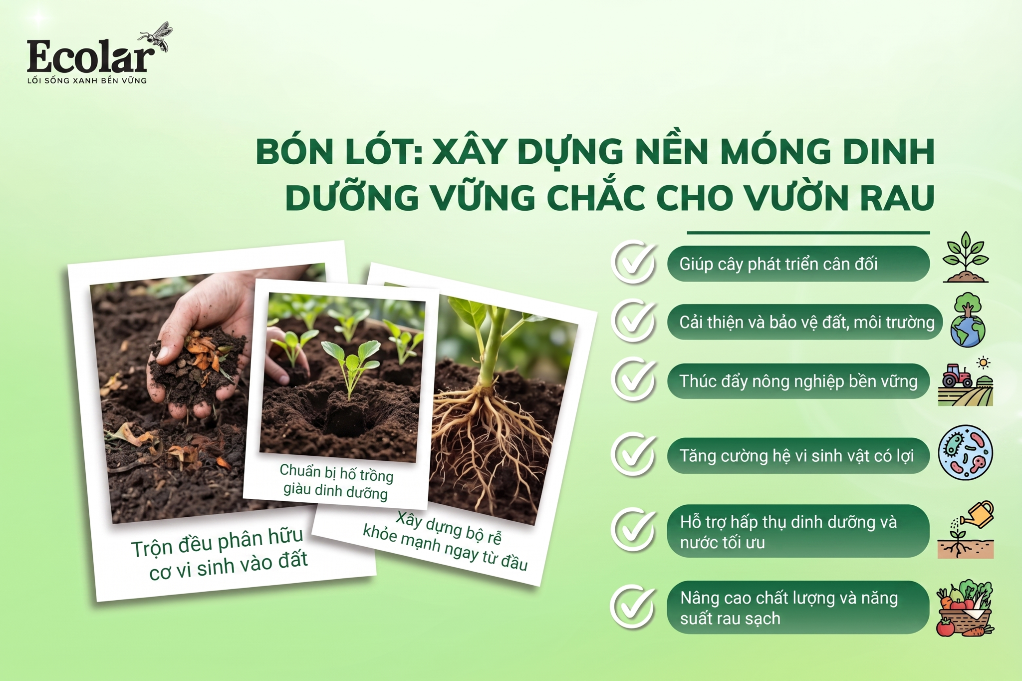 'Bón Lót' - Xây Dựng Nền Móng Dinh Dưỡng Vững Chắc Trước Khi Trồng