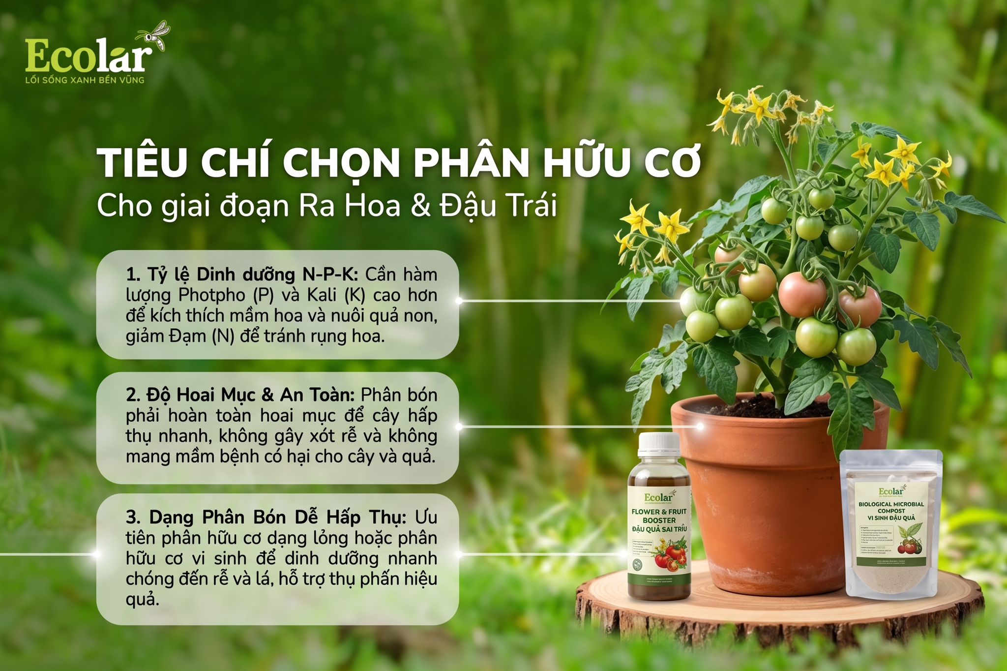 Tiêu chí chọn phân hữu cơ phù hợp cho giai đoạn ra hoa và đậu trái