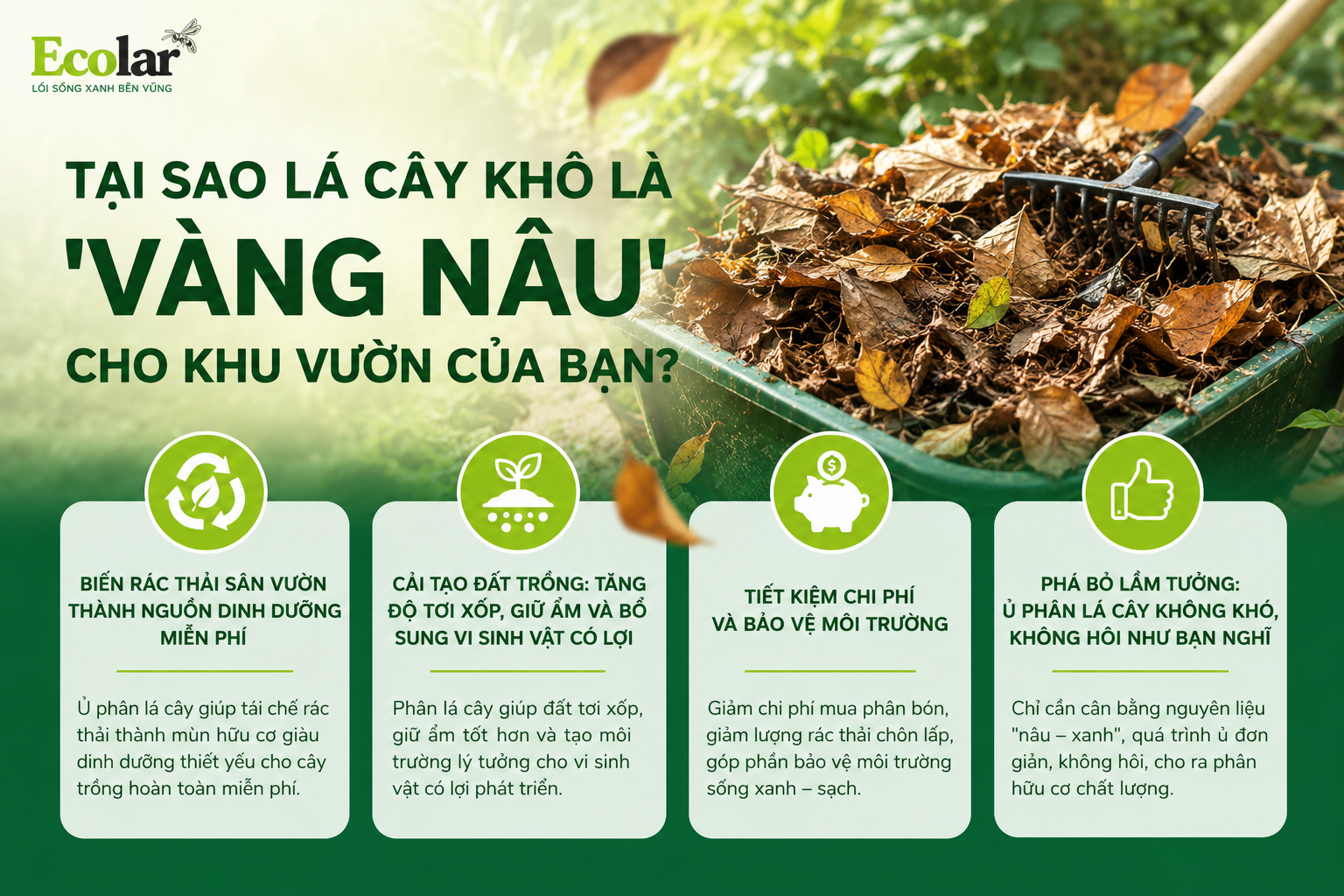Tại Sao Lá Cây Khô Là 'Vàng Nâu' Cho Khu Vườn Của Bạn?