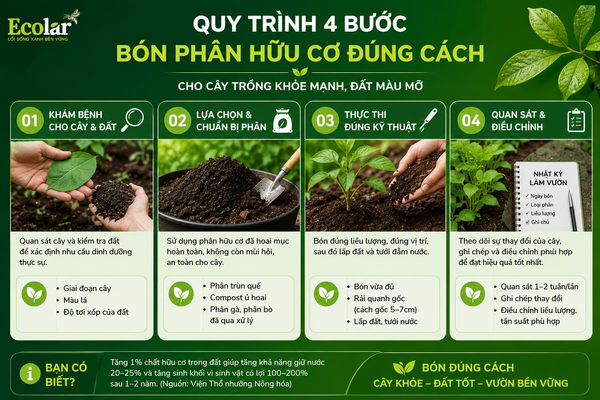 Nhóm Sai Lầm #3: Kỳ Vọng Sai - 'Thần Dược' Không Có Thật