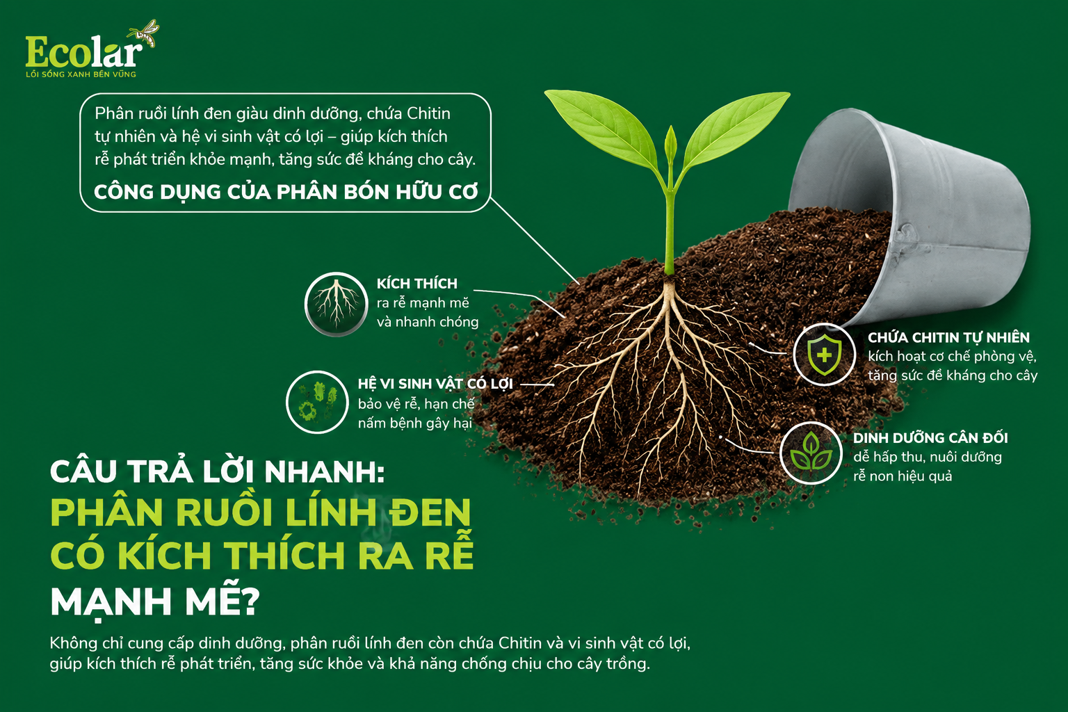 Câu Trả Lời Nhanh: Phân Ruồi Lính Đen CÓ Kích Thích Ra Rễ Mạnh Mẽ