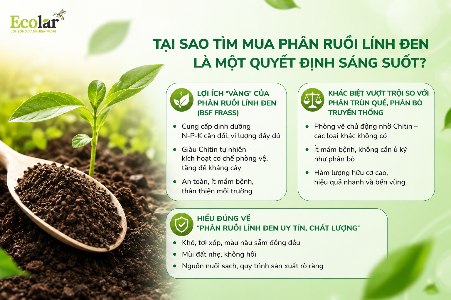 Tại Sao Tìm Mua Phân Ruồi Lính Đen Là Một Quyết Định Sáng Suốt?
