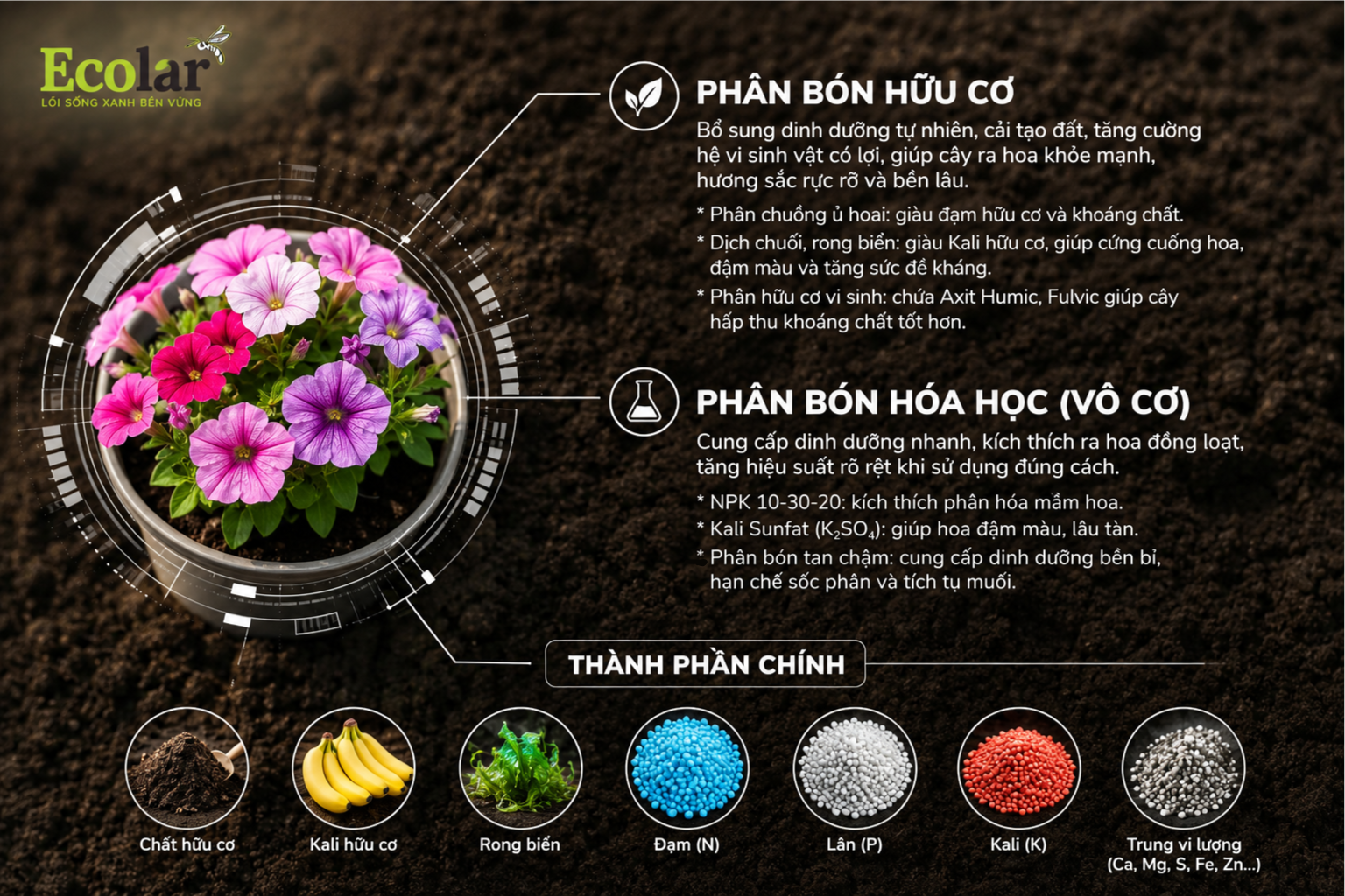 Các loại phân bón phù hợp cho cây ra hoa