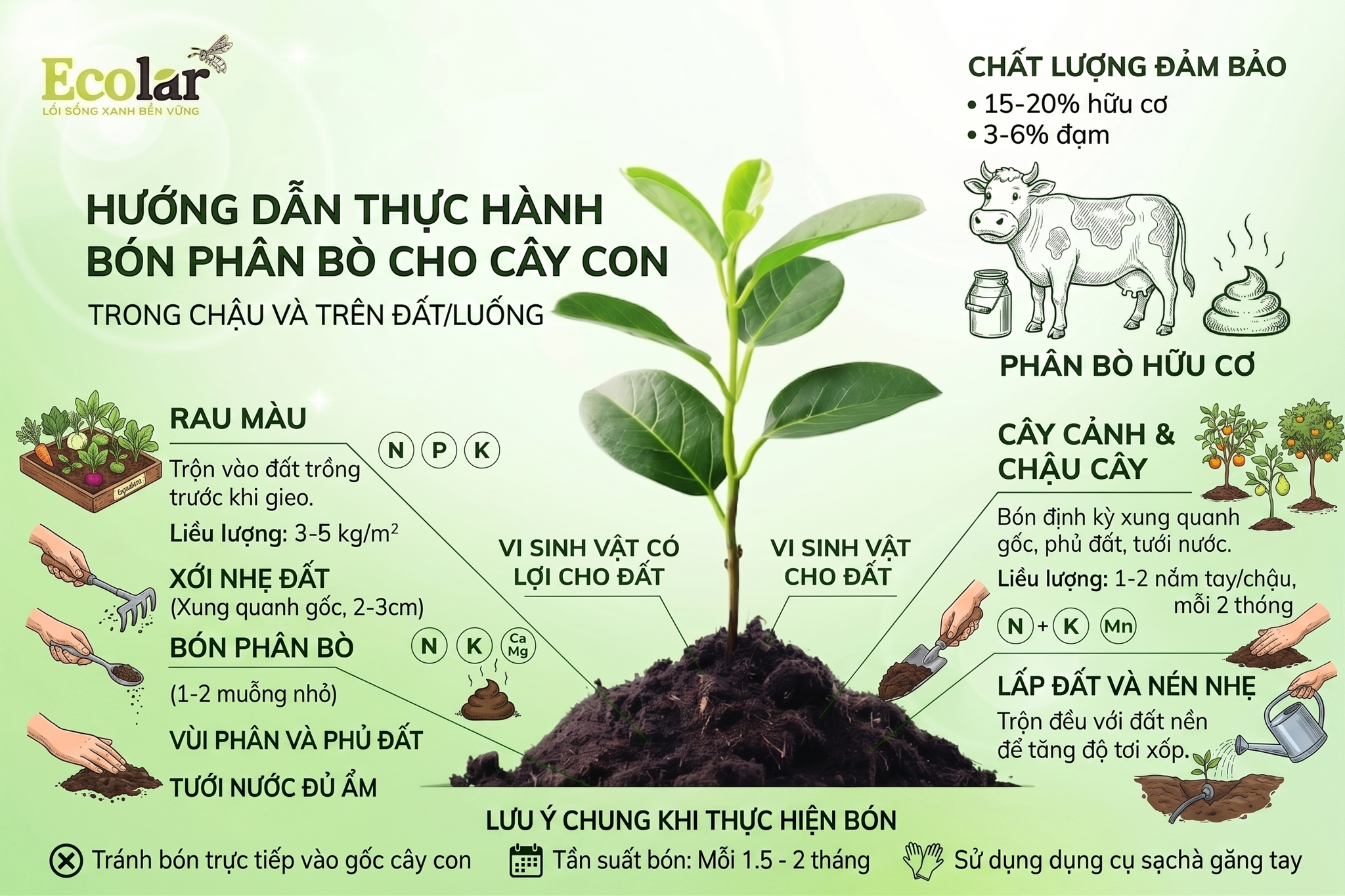 Cách áp dụng trên cây con trong chậu (pot) và trên luống/đất ruộng (field) — bước thực hành