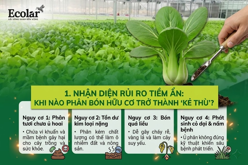 Nhận Diện Rủi Ro Tiềm Ẩn: Khi Nào Phân Bón Hữu Cơ Trở Thành 'Kẻ Thù'?