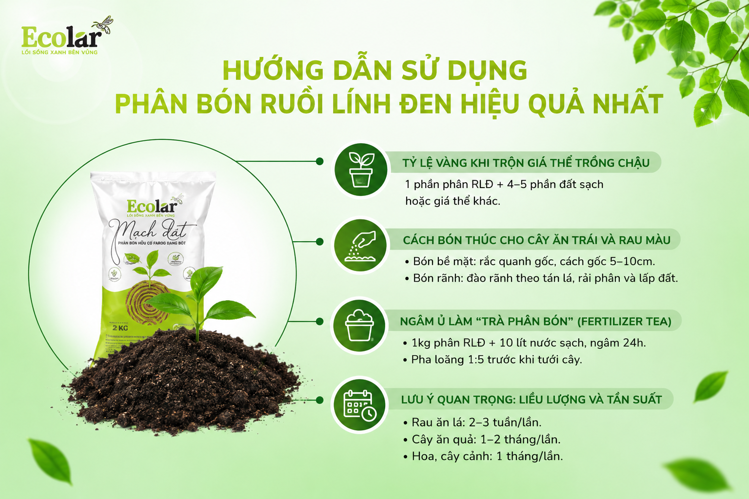Hướng Dẫn Sử Dụng Phân Bón Ruồi Lính Đen Hiệu Quả Nhất