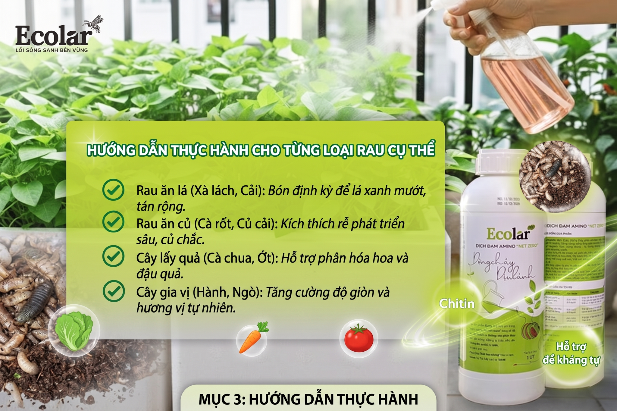 Chọn Phân Hữu Cơ Cho Từng Loại Rau Cụ Thể