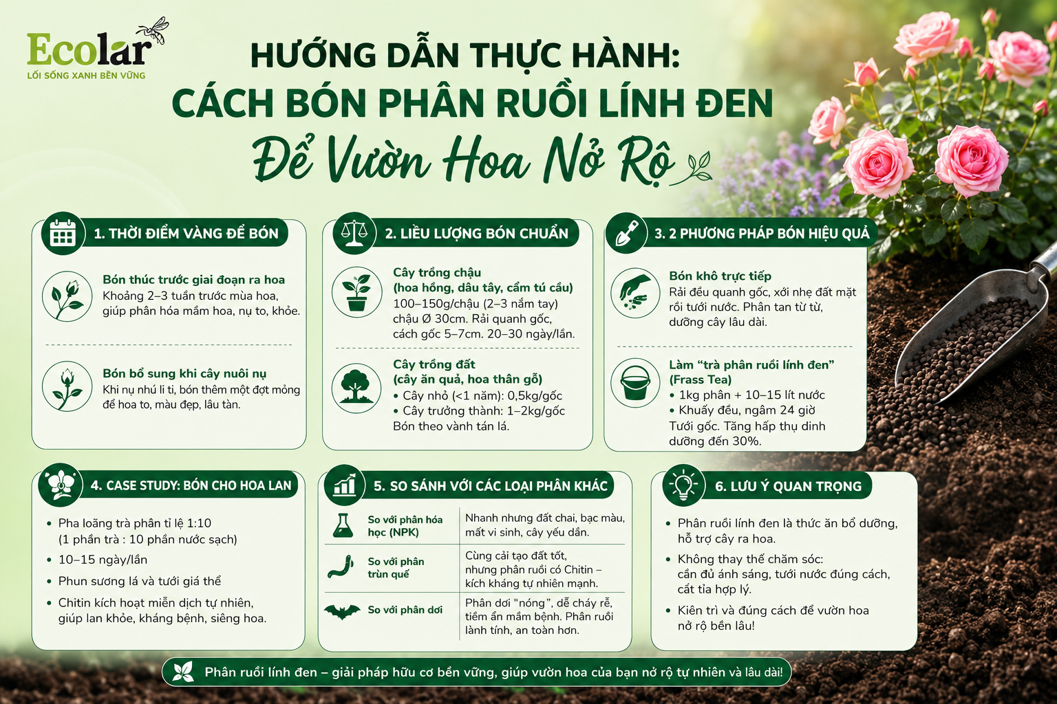 Hướng Dẫn Thực Hành: Cách Bón Phân Ruồi Lính Đen Để Vườn Hoa Nở Rộ