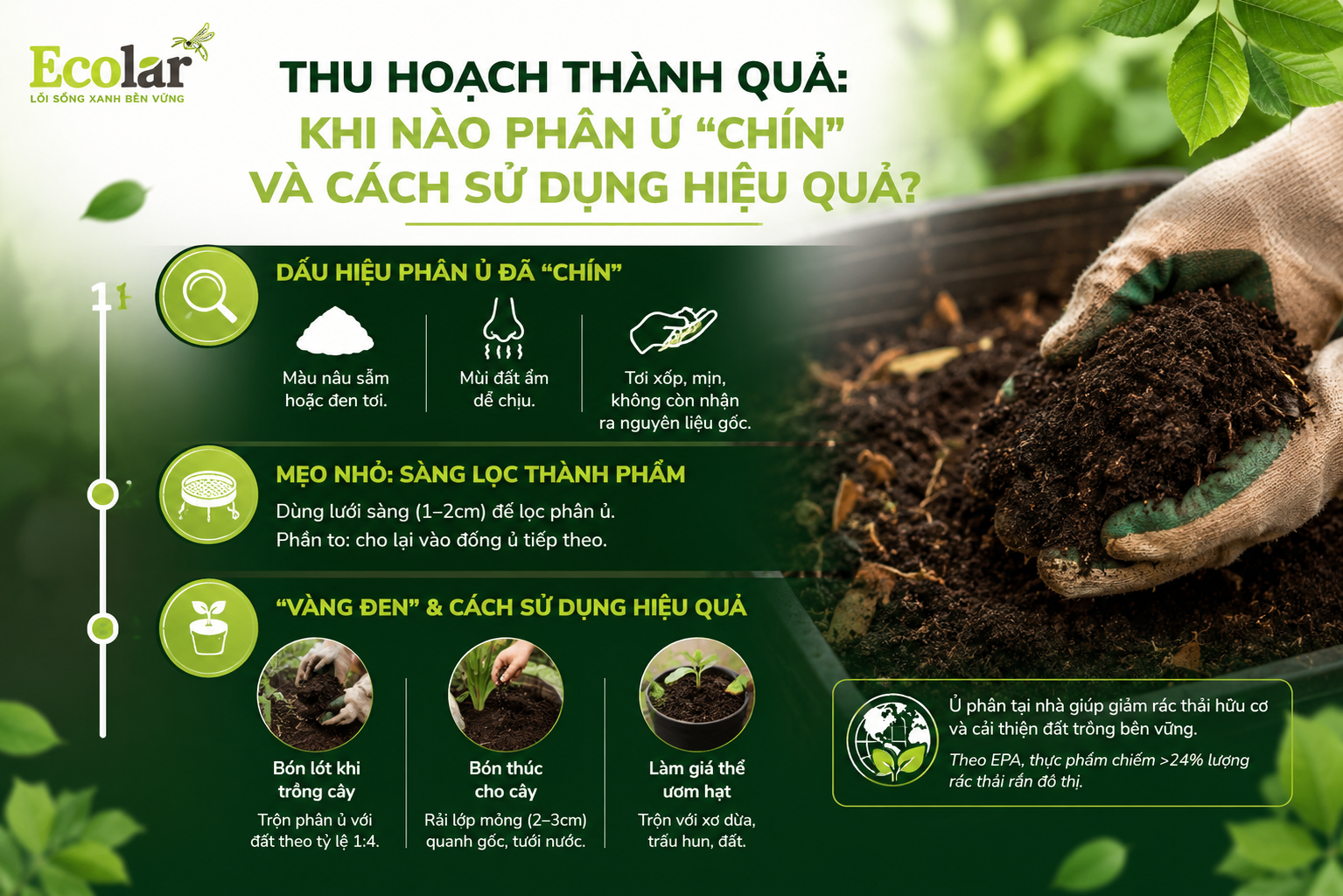 Thu Hoạch Thành Quả: Khi Nào Phân Ủ 'Chín' và Cách Sử Dụng Hiệu Quả?