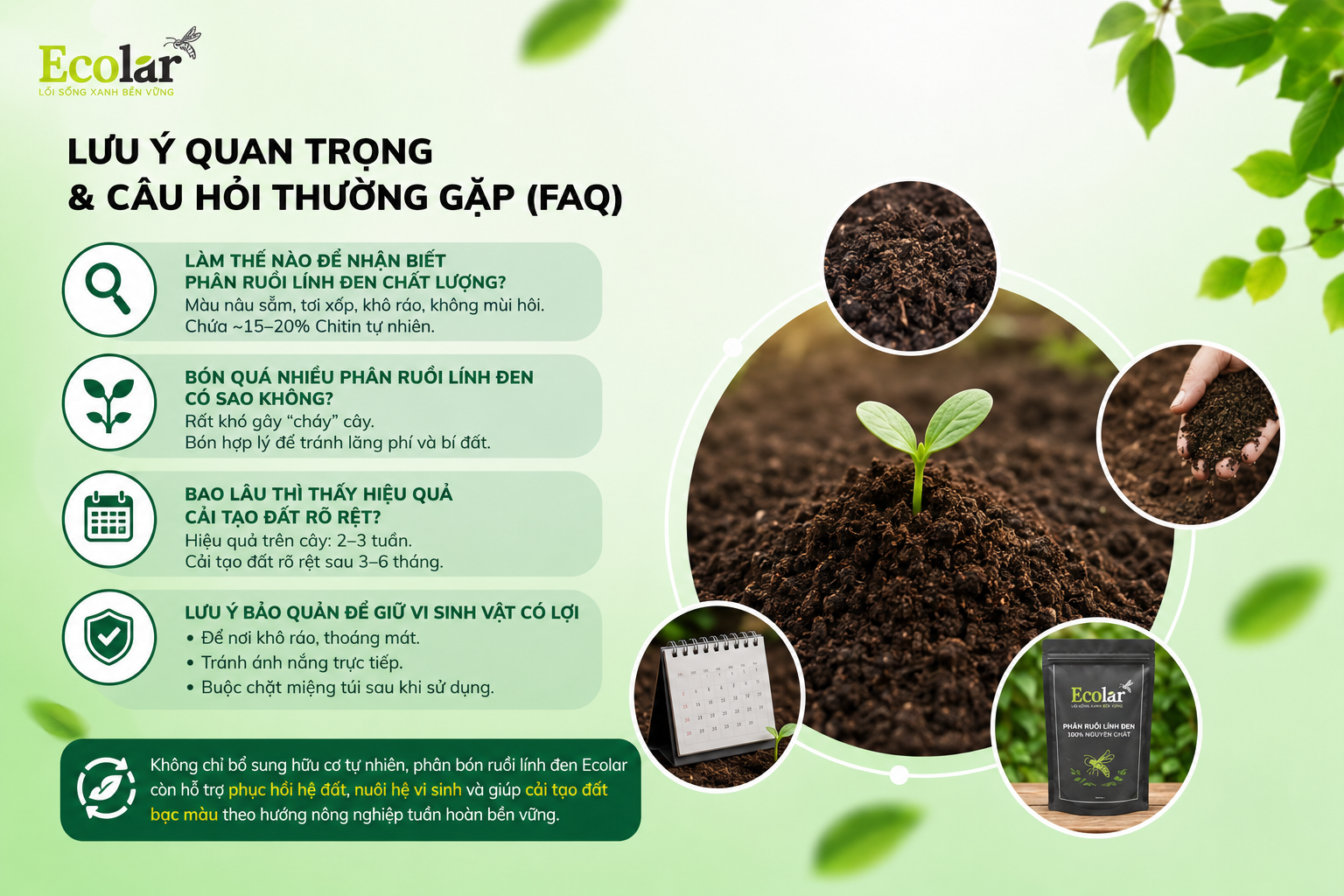 Lưu Ý Quan Trọng & Câu Hỏi Thường Gặp (FAQ)