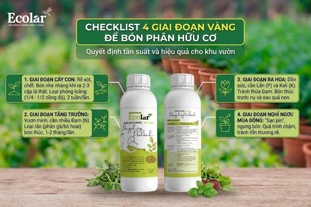 4 Yếu Tố Vàng Quyết Định Tần Suất Bón Phân Hữu Cơ