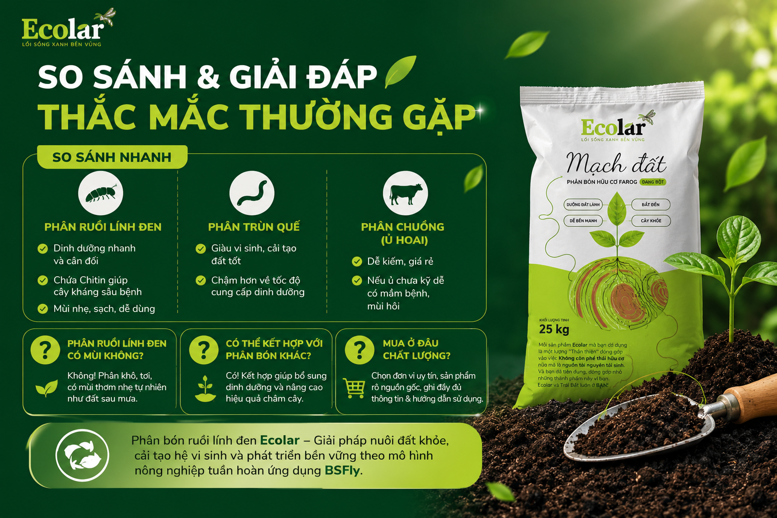 So Sánh Và Giải Đáp Thắc Mắc Thường Gặp