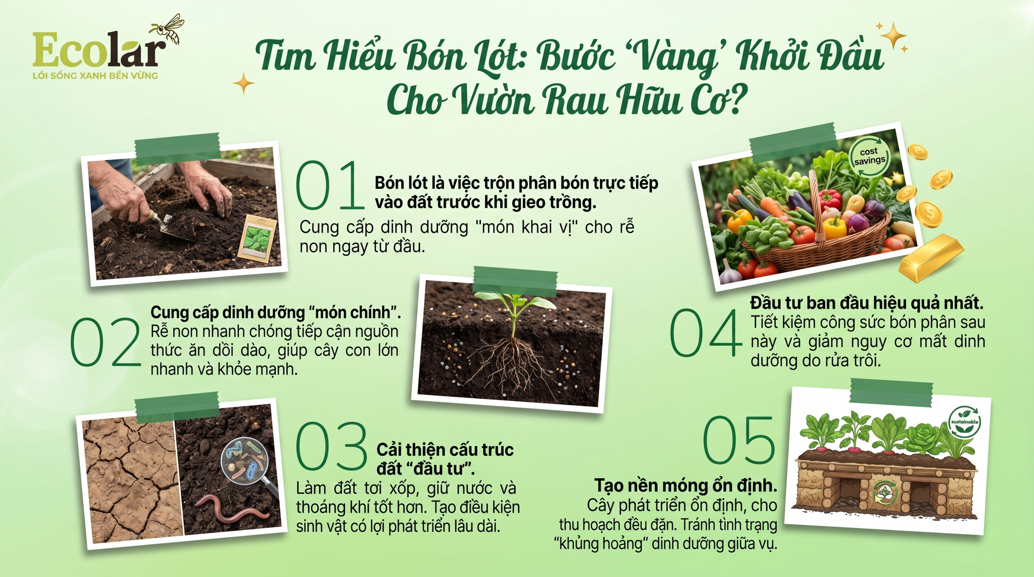 Bón Lót Là Gì và Tại Sao Là Bước 'Vàng' Cho Vườn Rau Hữu Cơ?
