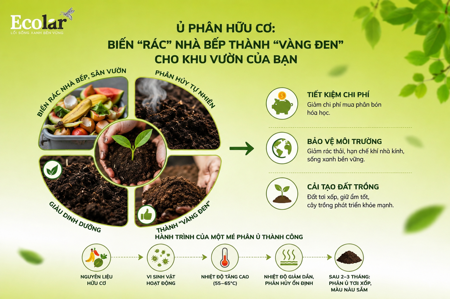 Ủ Phân Hữu Cơ: Biến 'Rác' Nhà Bếp Thành 'Vàng Đen' Cho Khu Vườn Của Bạn