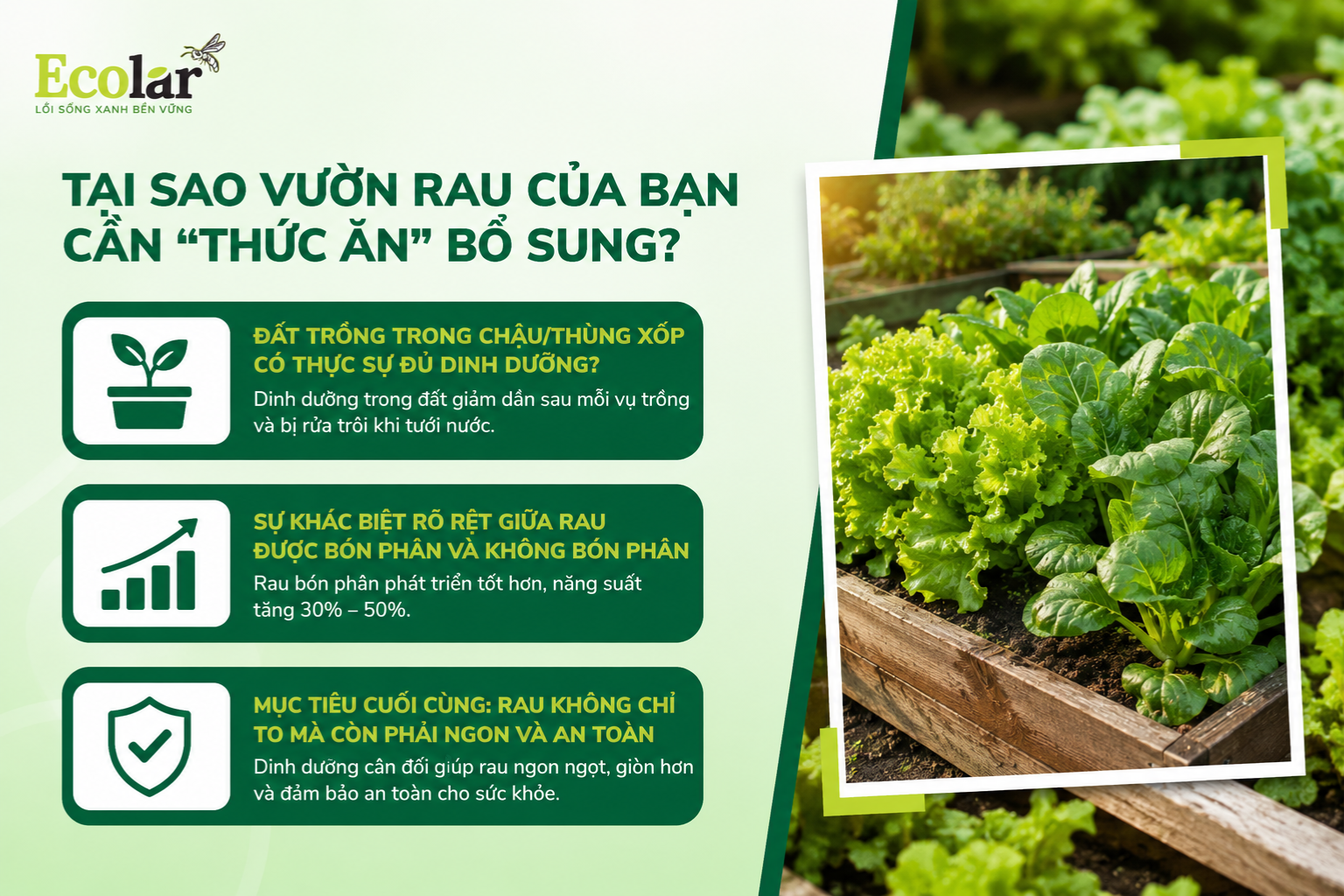 Tại Sao Vườn Rau Của Bạn Cần 'Thức Ăn' Bổ Sung?