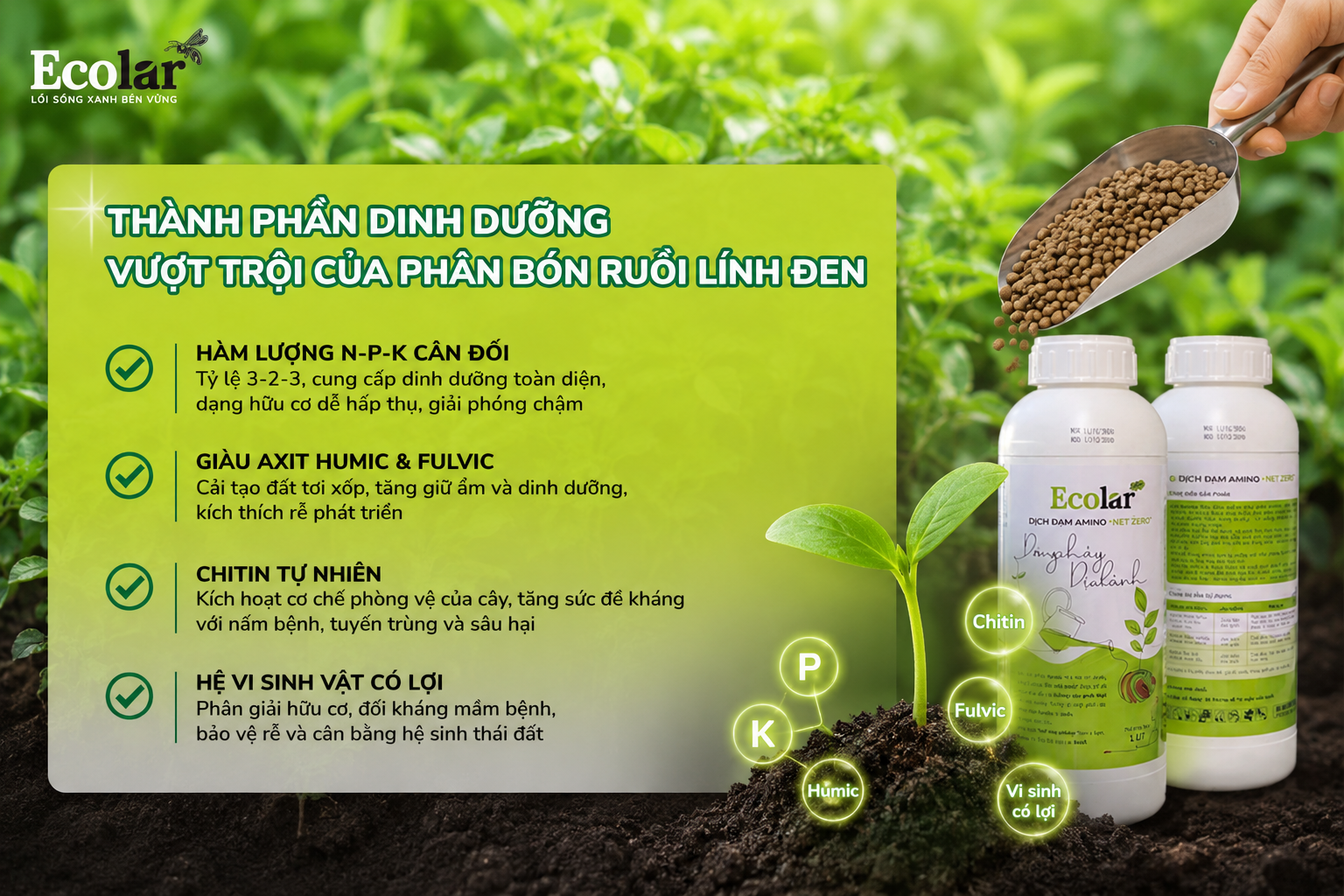 Phân Tích Thành Phần Dinh Dưỡng Vượt Trội Của Phân Bón Ruồi Lính Đen