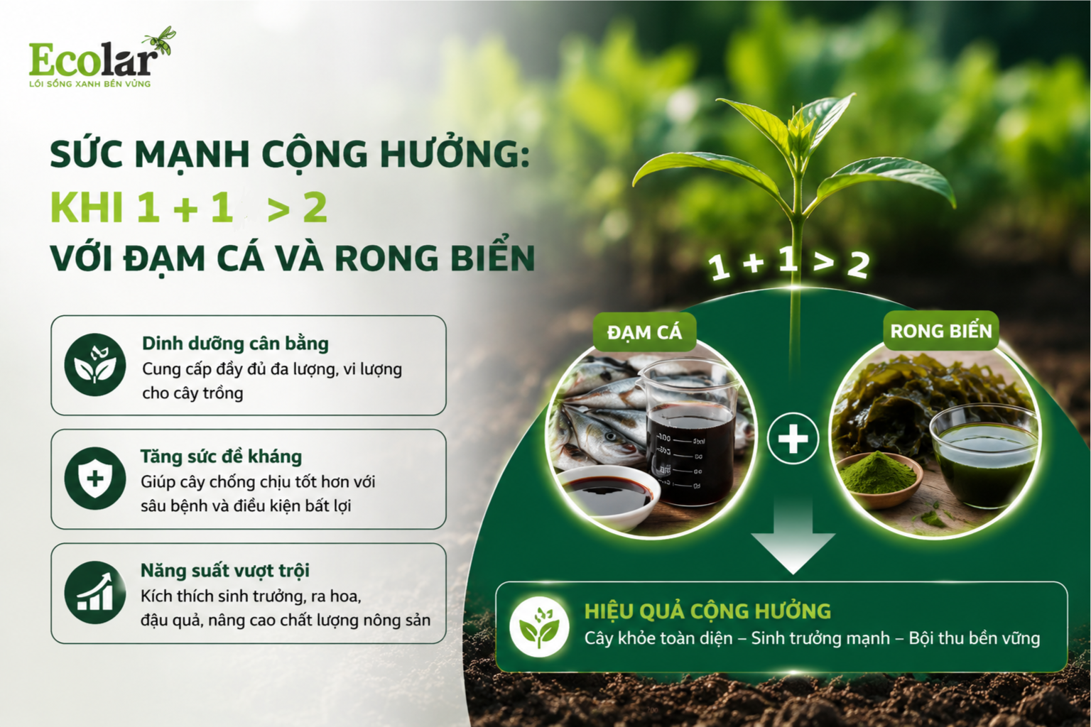 Sức Mạnh Cộng Hưởng: Khi 1 + 1 > 2 Với Đạm Cá và Rong Biển