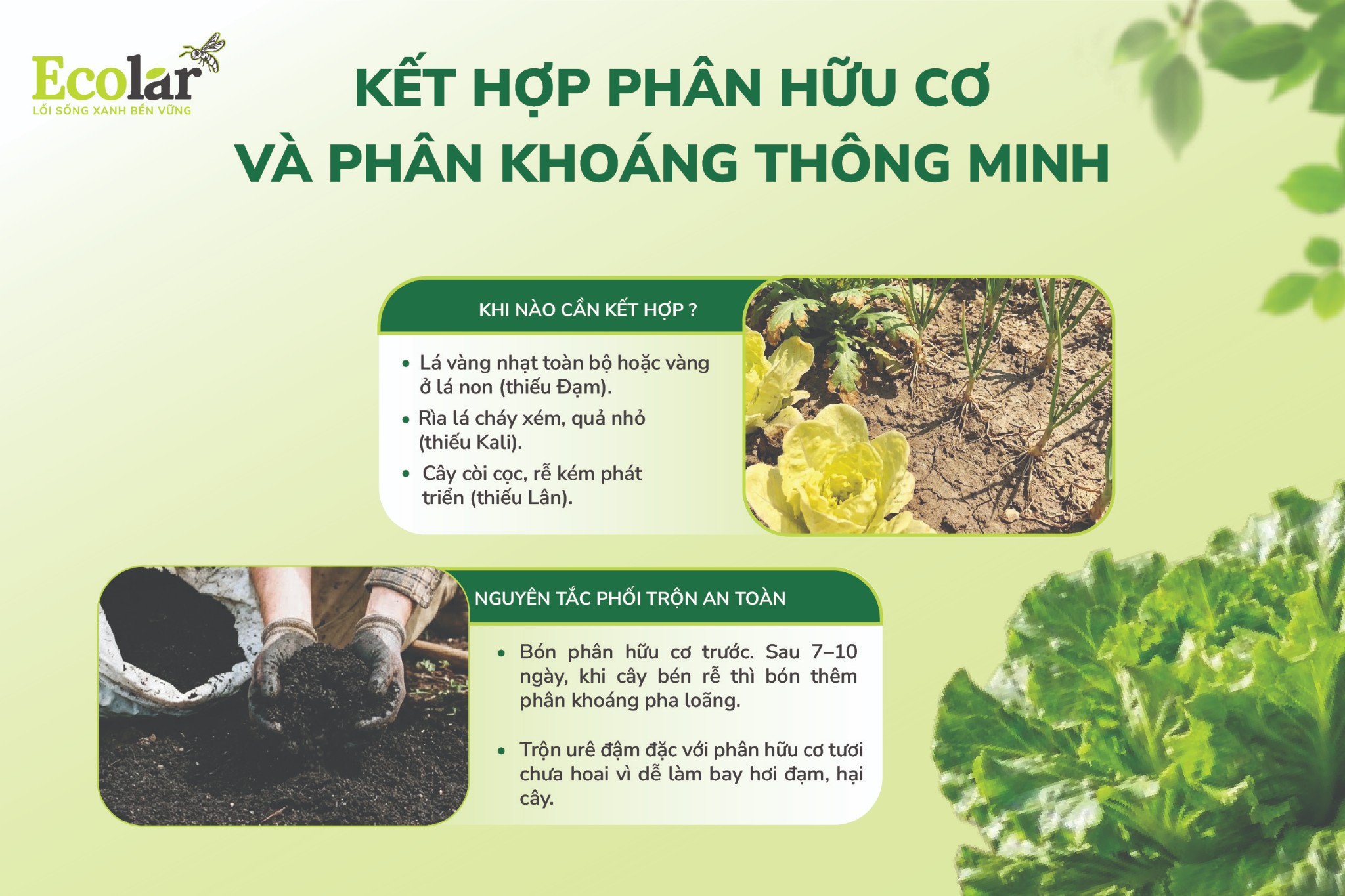 KET - HOP - PHAN - HUU - CO - VA - PHAN - KHOANG - THONG - MINH-03