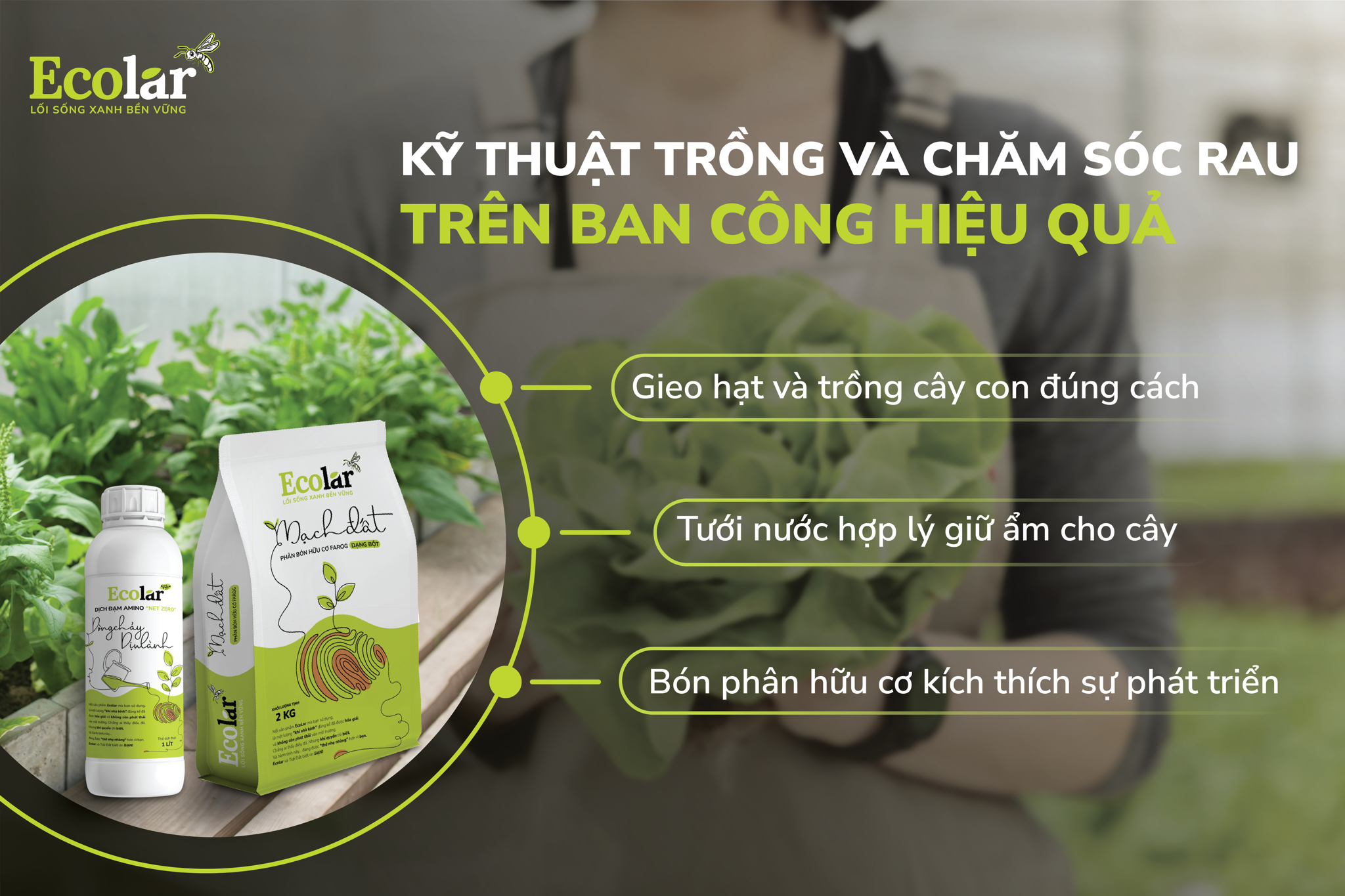 Kỹ thuật trồng và chăm sóc rau trên ban công hiệu quả