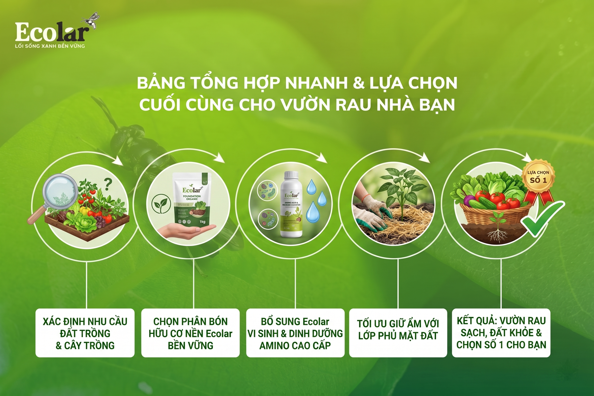 Bảng Tổng Hợp Nhanh & Lựa Chọn Cuối Cùng Cho Vườn Rau Nhà Bạn