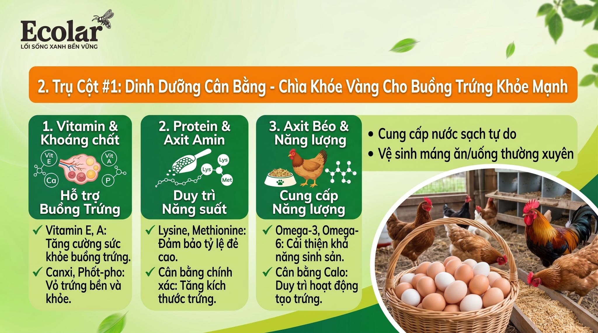 Dinh Dưỡng Cân Bằng - Chìa Khóa Vàng Cho Buồng Trứng Khỏe Mạnh