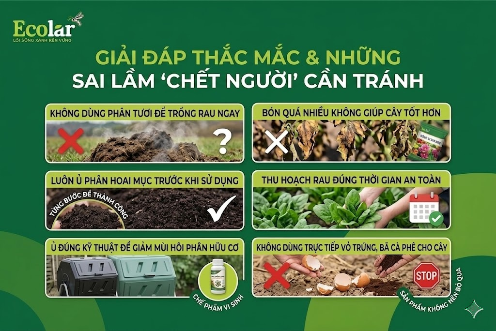 Giải Đáp Thắc Mắc & Những Sai Lầm 'Chết Người' Cần Tránh