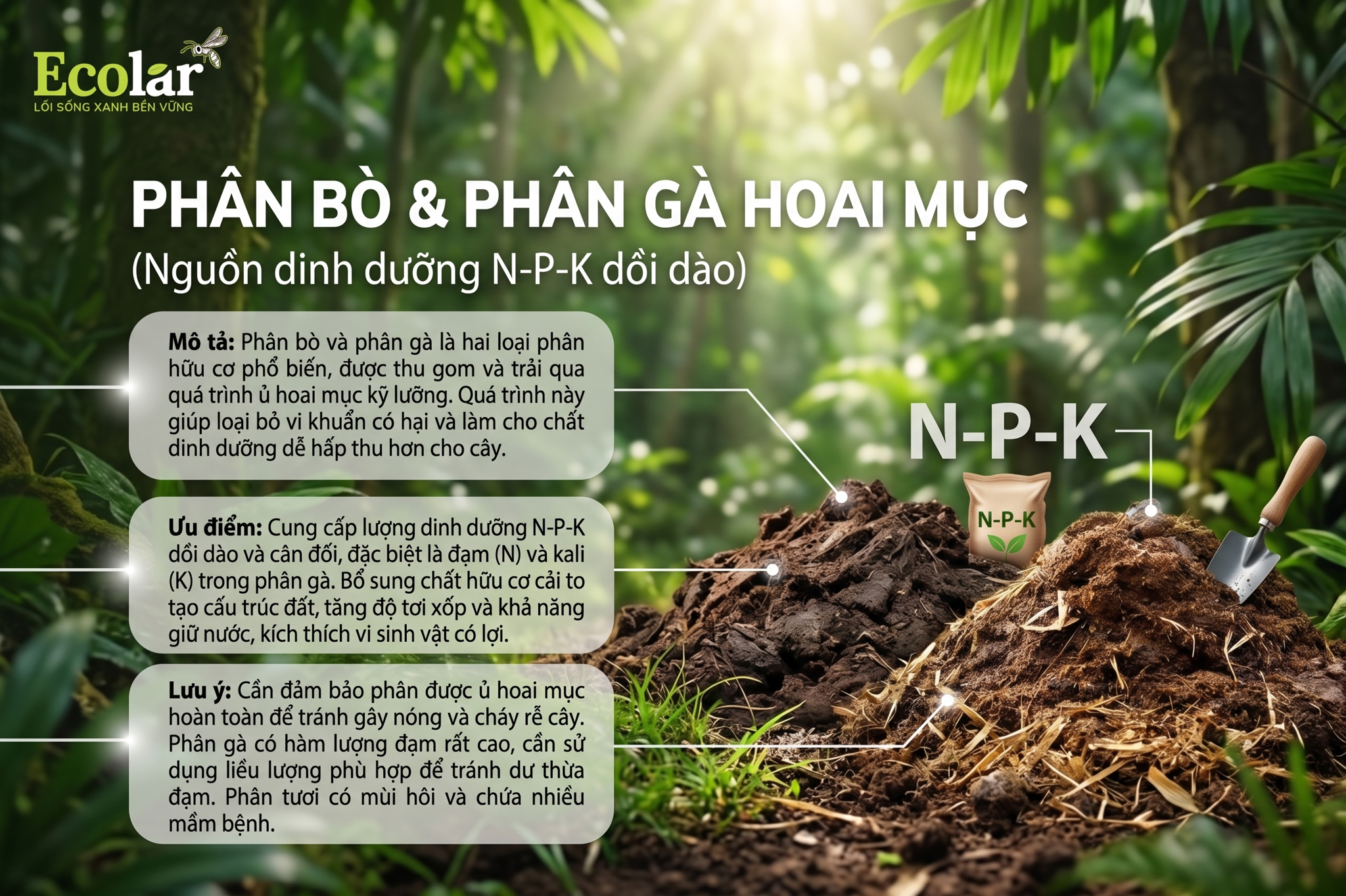 Phân Bò/Phân Gà Hoai Mục: Nguồn dinh dưỡng N-P-K dồi dào