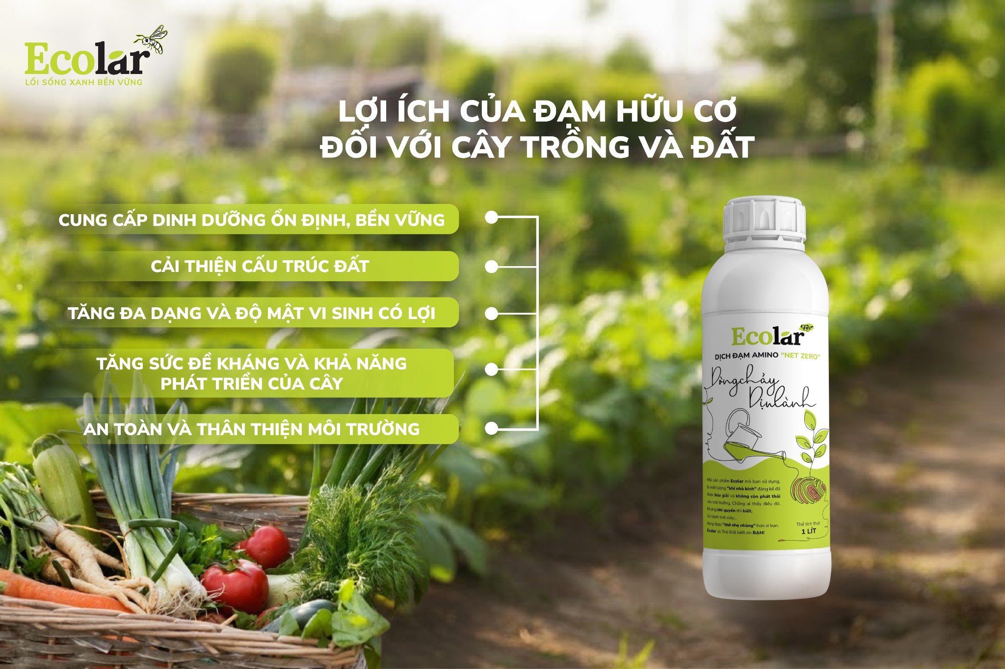 Lợi ích của đạm hữu cơ