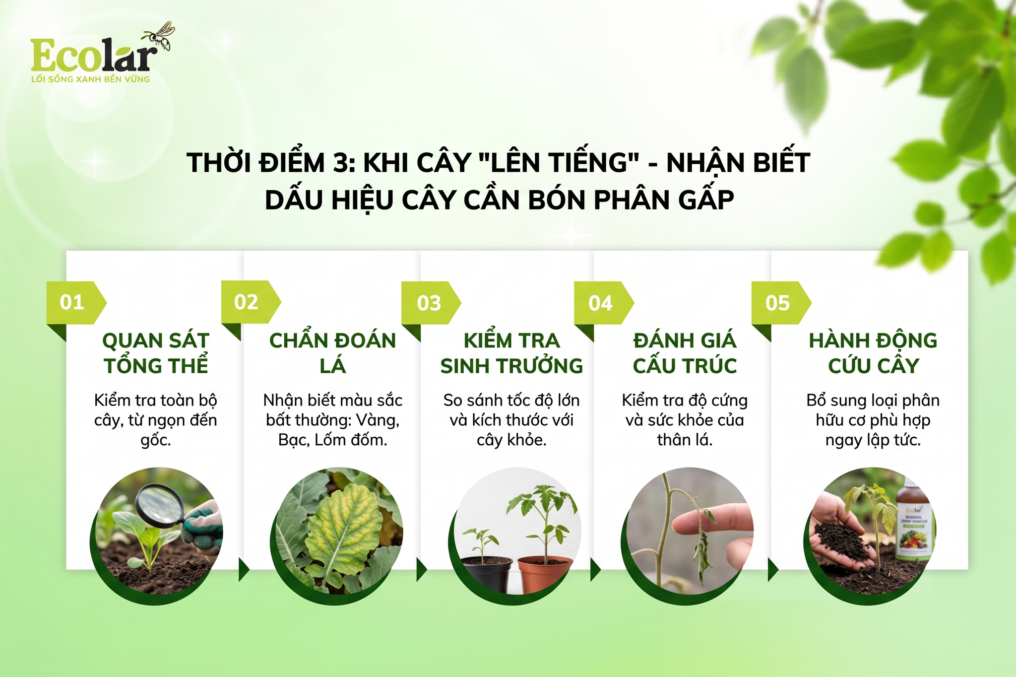 Khi Cây 'Lên Tiếng' - Nhận Biết Dấu Hiệu Cây Cần Bón Phân Gấp