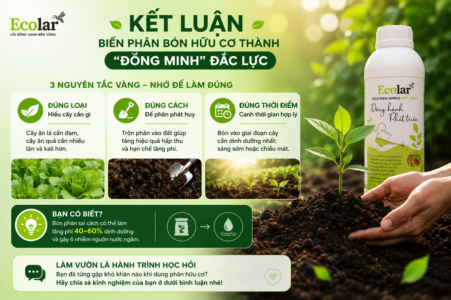 Kết Luận: Biến Phân Bón Hữu Cơ Thành 'Đồng Minh' Đắc Lực