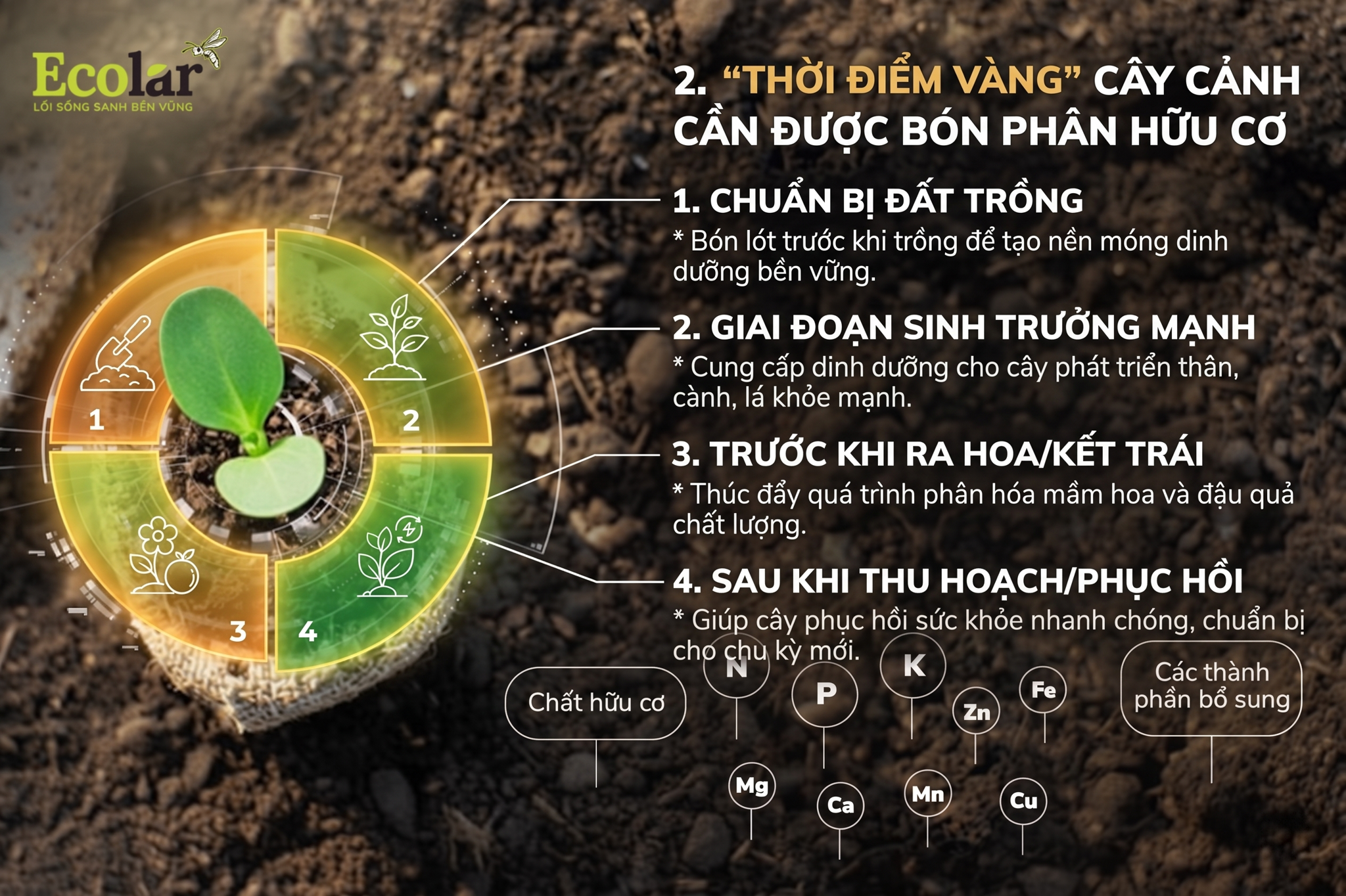 4 'Thời Điểm Vàng' Cây Cảnh Cần Được Bón Phân Hữu Cơ