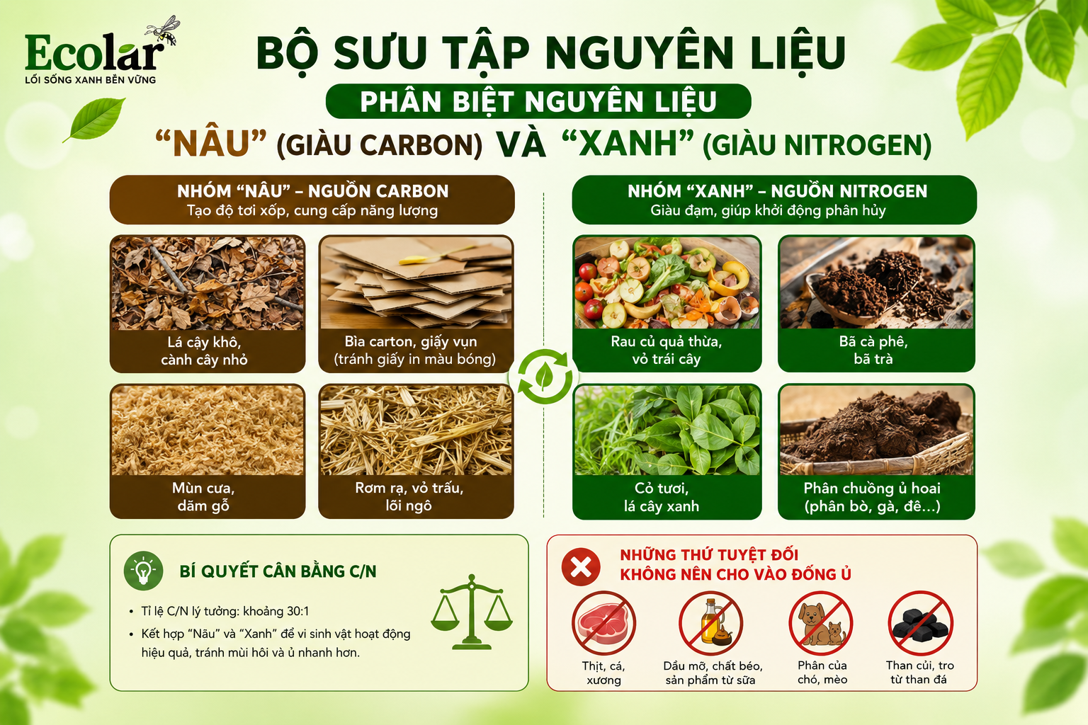 Bộ Sưu Tập Nguyên Liệu: Phân Biệt Nguyên Liệu 'Nâu' (Giàu Carbon) và 'Xanh' (Giàu Nitrogen)