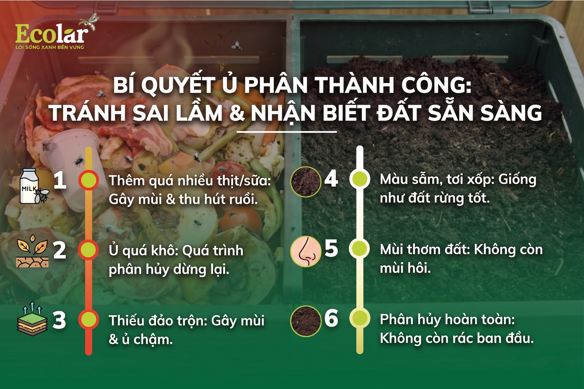 Những Sai Lầm