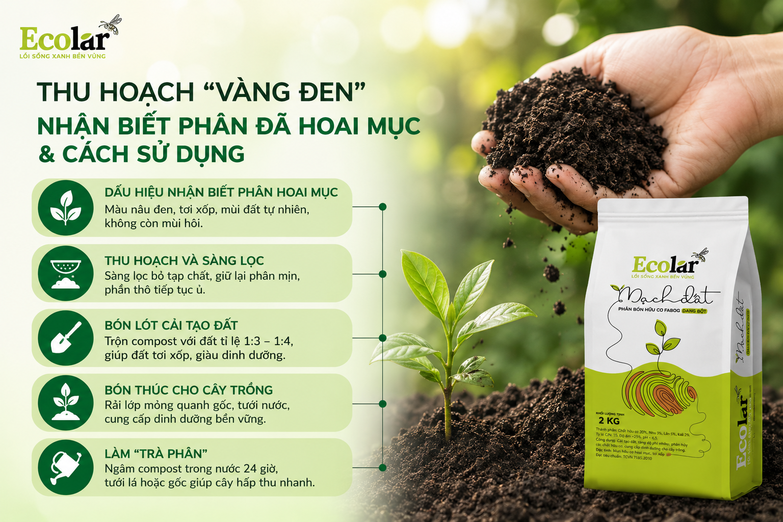 Thu Hoạch 'Vàng Đen': Nhận Biết Phân Đã Hoai Mục & Cách Sử Dụng