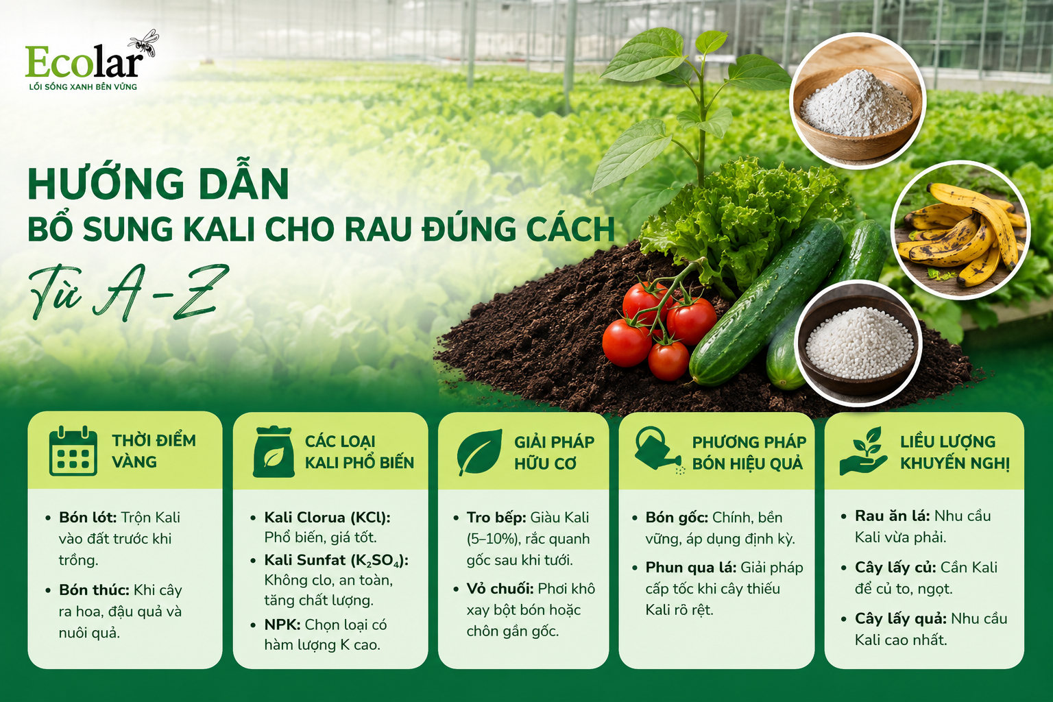 Hướng Dẫn Bổ Sung Kali Cho Rau Đúng Cách: Từ A-Z