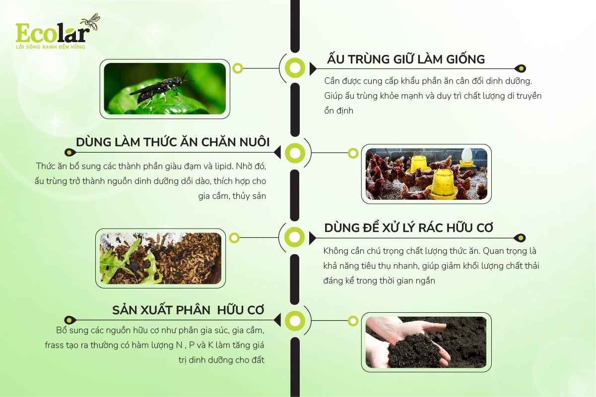 Mối liên hệ giữa loại thức ăn và năng suất, chất lượng ấu trùng