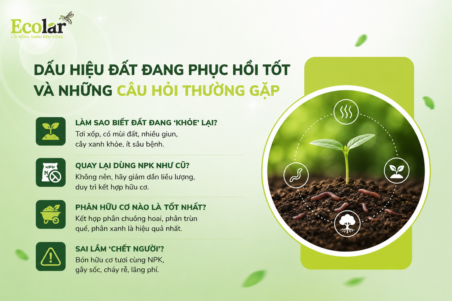 Dấu Hiệu Đất Đang Phục Hồi Tốt và Những Câu Hỏi Thường Gặp