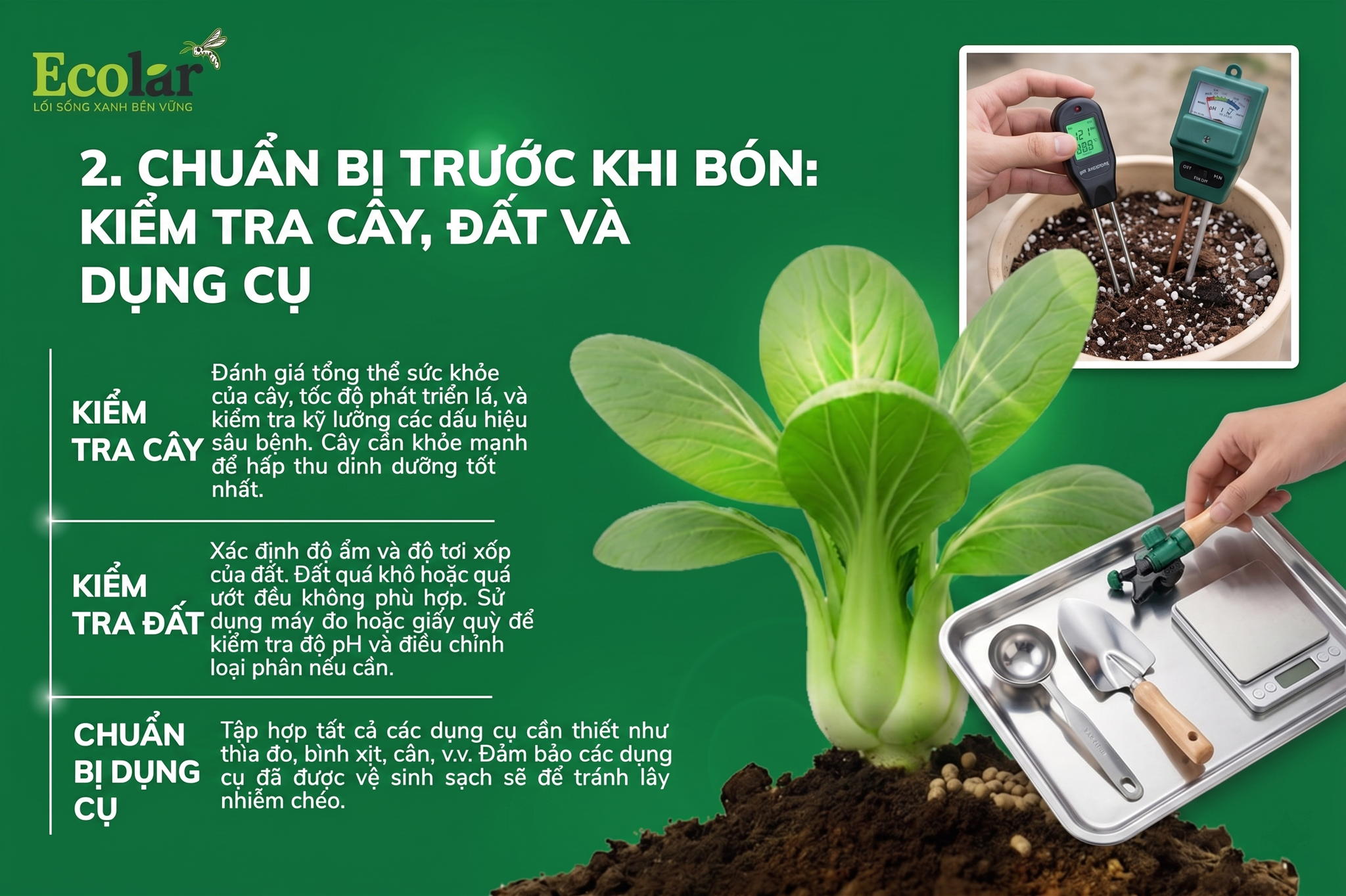 Chuẩn bị trước khi bón: kiểm tra cây, đất và dụng cụ