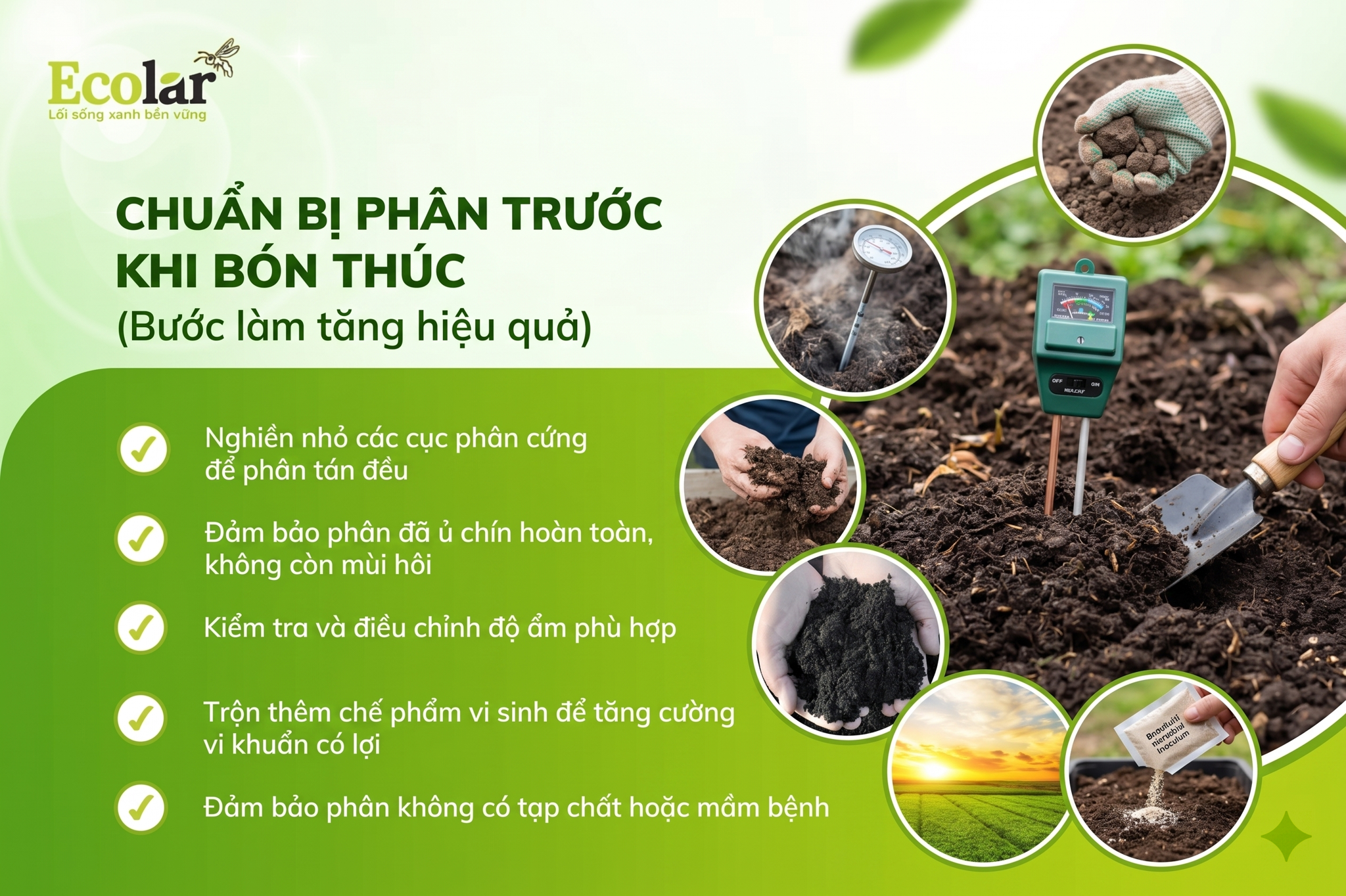 Chuẩn bị phân trước khi bón thúc (bước làm tăng hiệu quả)