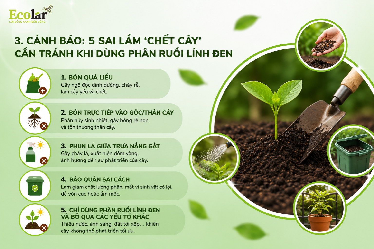Cảnh Báo: 5 Sai Lầm 'Chết Cây' Cần Tránh Khi Dùng Phân Ruồi Lính Đen